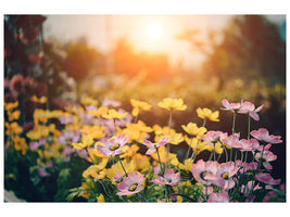 canvas-print-the-flowers