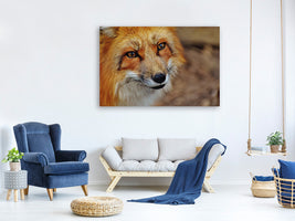 canvas-print-the-fox