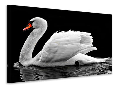 canvas-print-the-graceful-swan