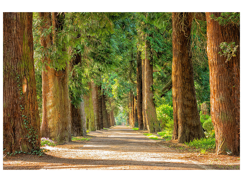 canvas-print-the-green-avenue