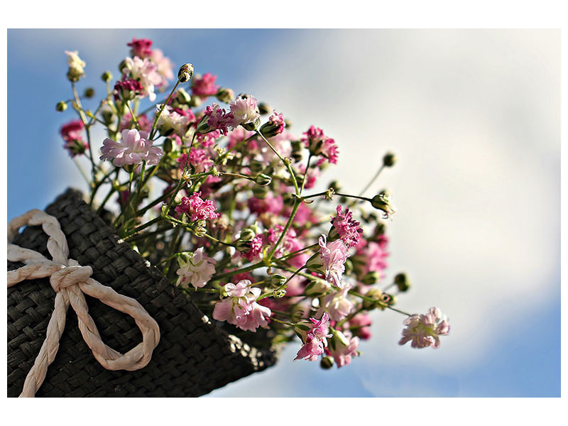 canvas-print-the-gypsophila