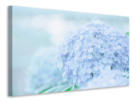 canvas-print-the-hydrangea