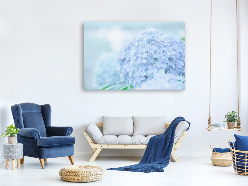 canvas-print-the-hydrangea