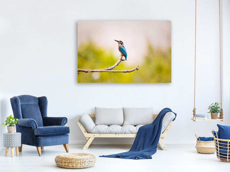 canvas-print-the-kingfisher