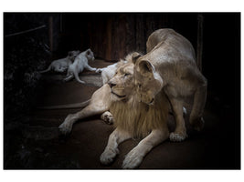 canvas-print-the-lion-couple