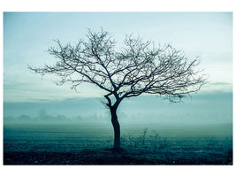 canvas-print-the-magic-tree