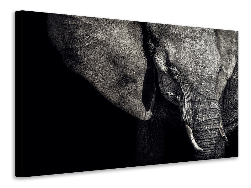 canvas-print-the-matriarch