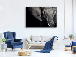 canvas-print-the-matriarch