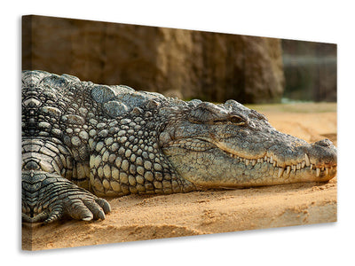 canvas-print-the-nile-crocodile