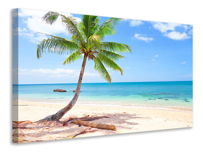 canvas-print-the-own-island