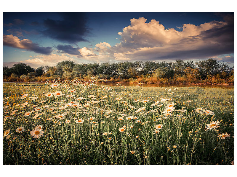 canvas-print-the-ox-on-the-river