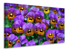 canvas-print-the-pansies