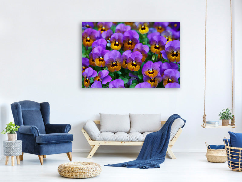 canvas-print-the-pansies