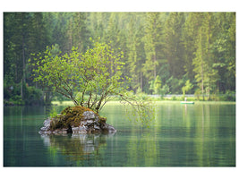 canvas-print-the-pond-in-the-forest