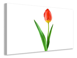 canvas-print-the-proud-tulip