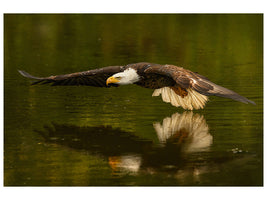 canvas-print-the-reflective-pond