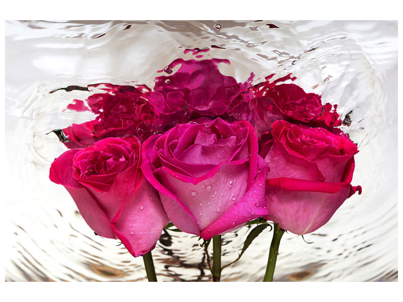 canvas-print-the-rose-reflection