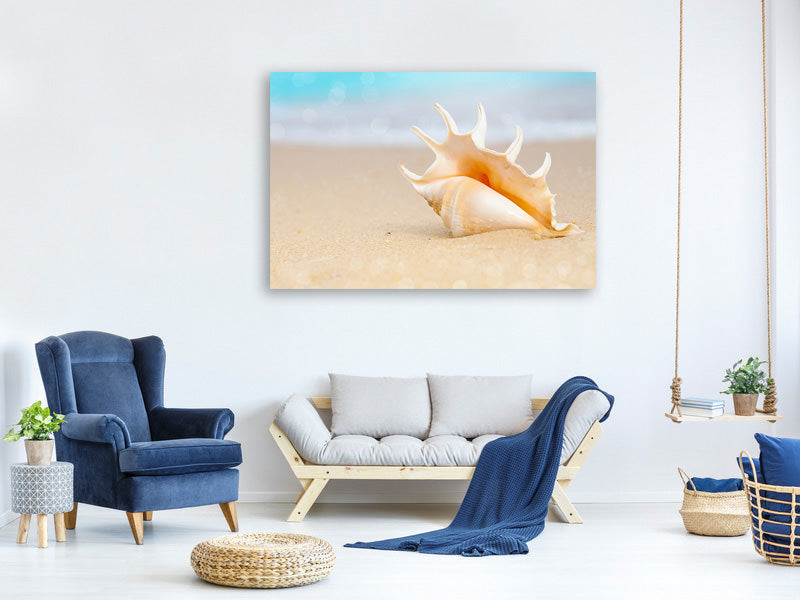 canvas-print-the-shell-on-the-beach