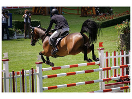 canvas-print-the-show-jumper