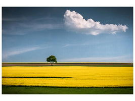 canvas-print-the-tree-and-the-cloud-x