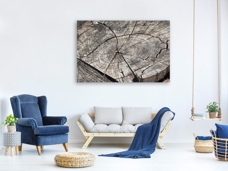 canvas-print-the-tree-rings