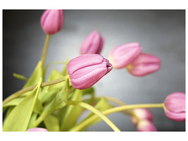 canvas-print-the-tulip-bouquet-in-pink