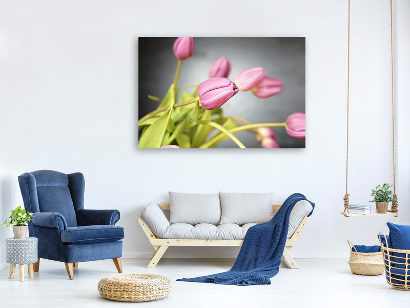 canvas-print-the-tulip-bouquet-in-pink