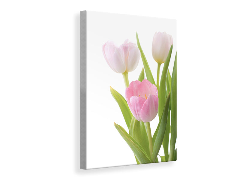 canvas-print-the-tulips-trio