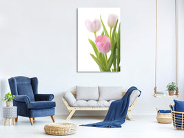 canvas-print-the-tulips-trio