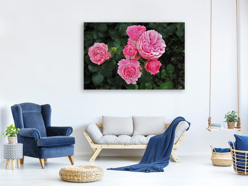 canvas-print-the-wild-roses-in-pink