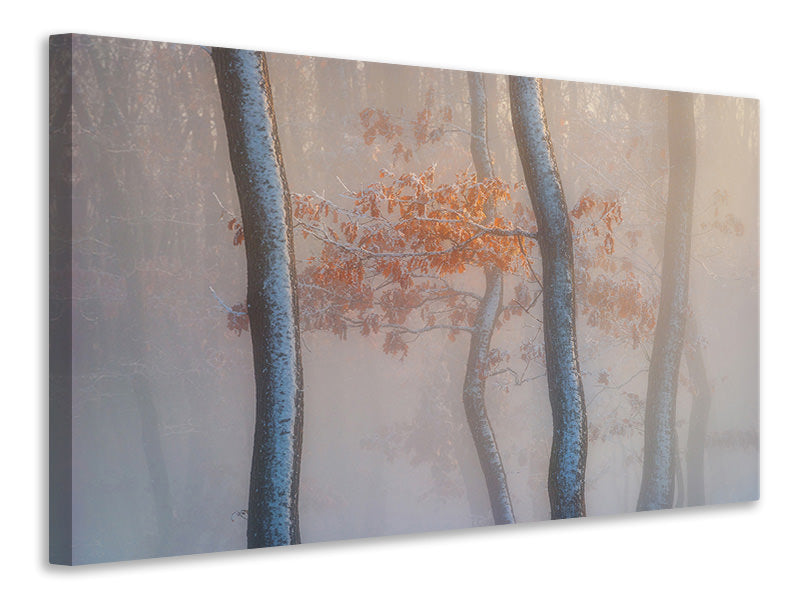 canvas-print-thin-air