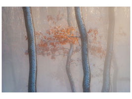 canvas-print-thin-air