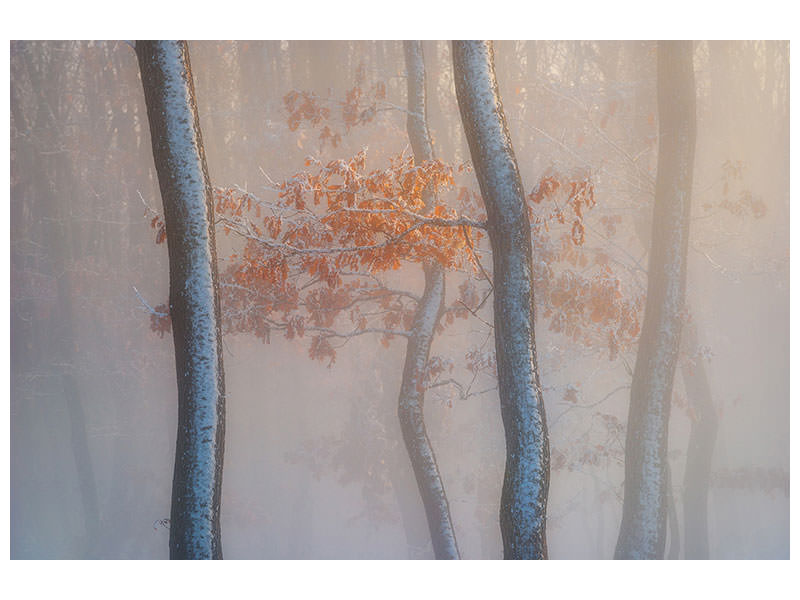 canvas-print-thin-air