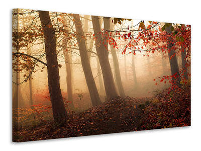 canvas-print-towards-the-light