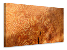 canvas-print-tree-rings