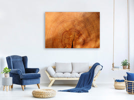 canvas-print-tree-rings