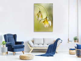 canvas-print-tulipa-x