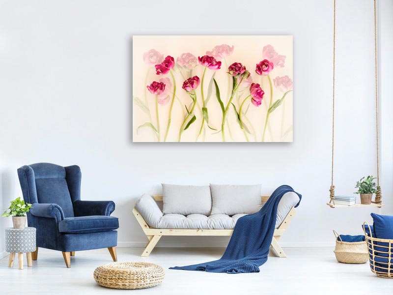 canvas-print-tulips-xgj