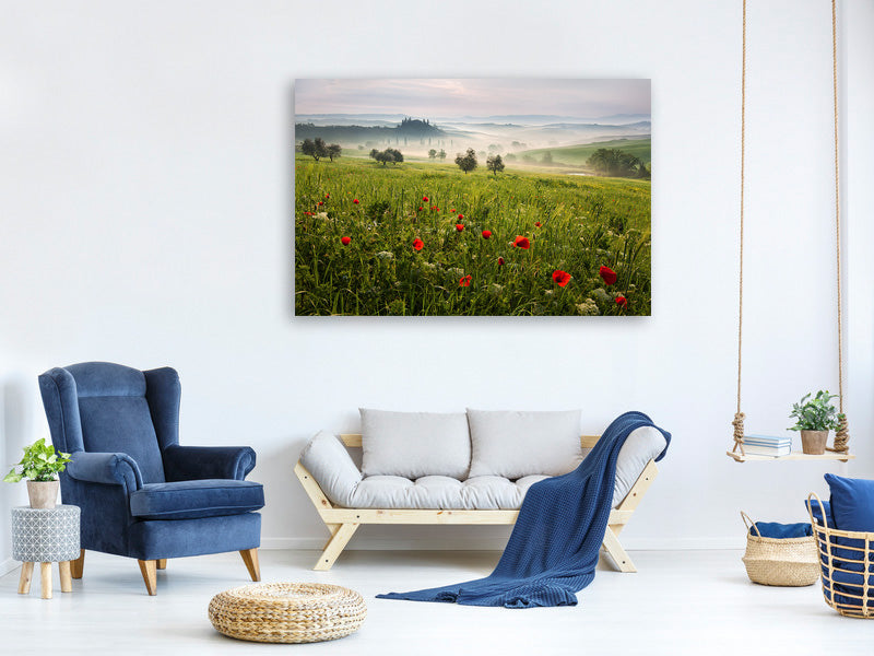 canvas-print-tuscan-spring