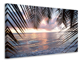 canvas-print-under-palm-leaves