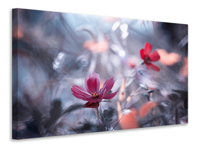 canvas-print-une-autre-fleur-une-autre-histoire