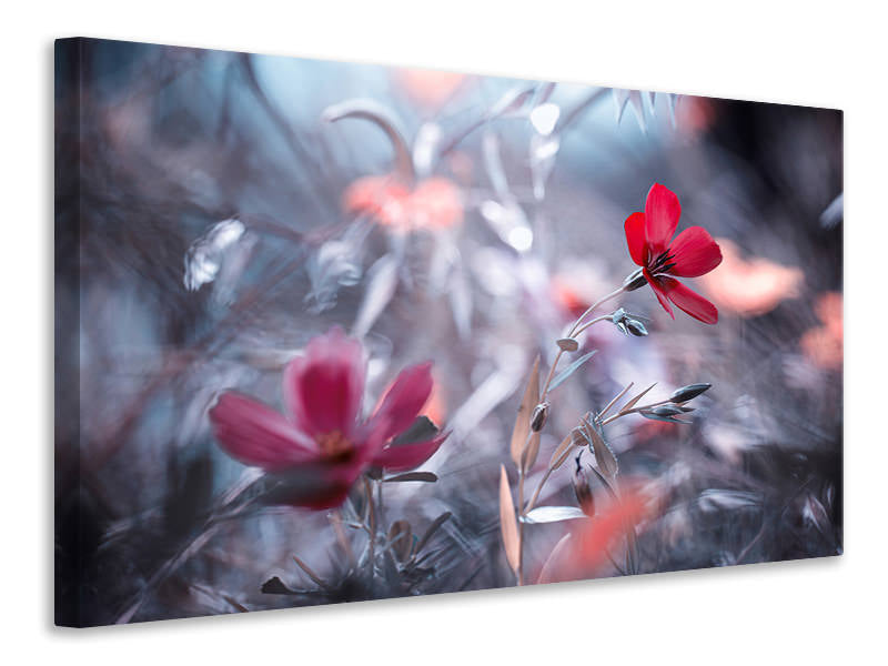 canvas-print-une-fleur-une-histoire