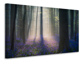 canvas-print-velvet-light