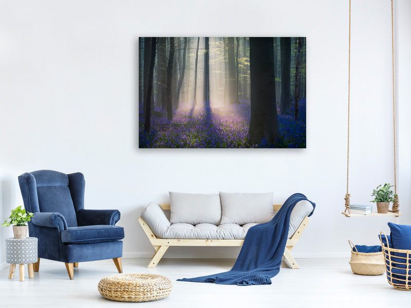 canvas-print-velvet-light