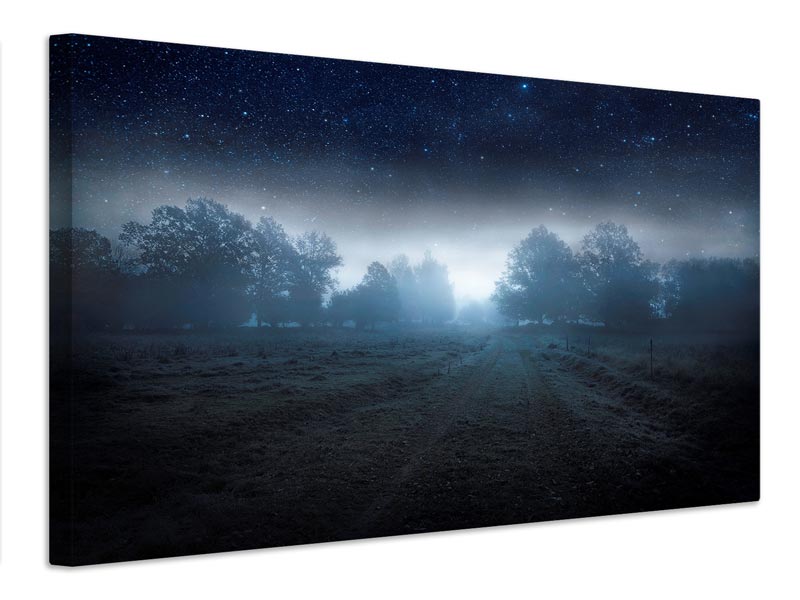 canvas-print-visions-of-the-night-x