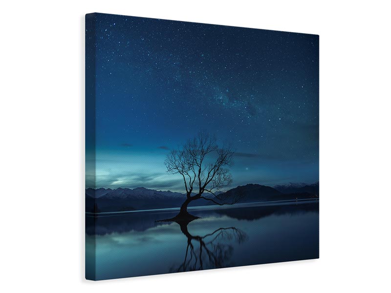 canvas-print-wanaka-tree-x