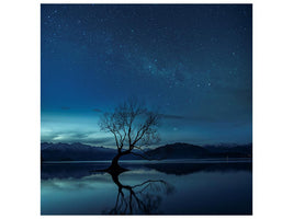 canvas-print-wanaka-tree-x