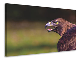 canvas-print-watchful-eagle