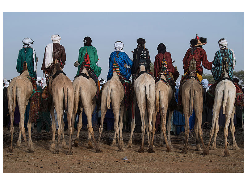 canvas-print-watching-the-gerewol-festival-from-the-camels-niger