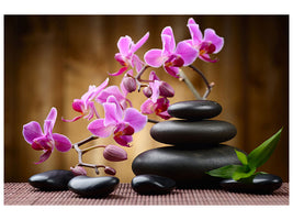 canvas-print-wellness-stones